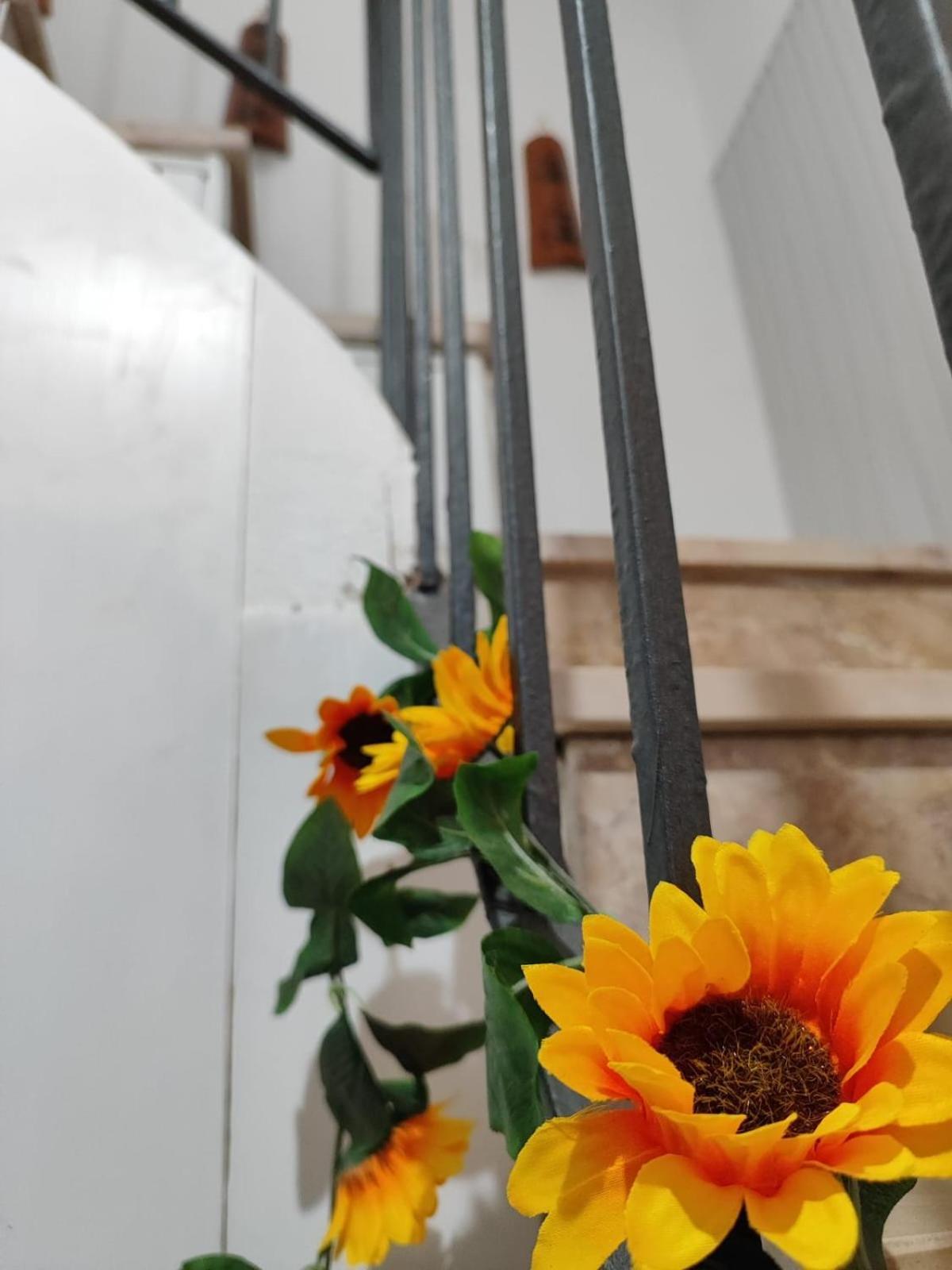 Casa Vacanze Con Giardino I Girasoli - Cin It 09006 - 9 C 2000 R4042- ซอร์โซ ภายนอก รูปภาพ